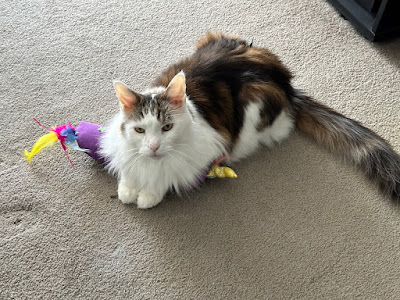 d'Artagnan and his unicorn