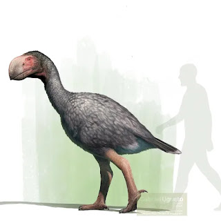 Gastornis