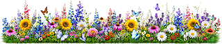 July Divider BBHQ ©BionicBasil® A vibrant summer garden scene filled with colourful wildflowers in shades of yellow, pink, purple, blue, and red. Butterflies in various colours flutter above the dense blooms, creating a lively, cheerful meadow atmosphere. The composition is bright, lush, and full of movement, evoking a warm July day in a flourishing garden.