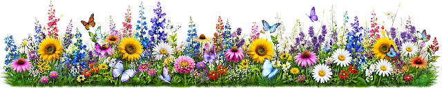 July Divider BBHQ ©BionicBasil® A vibrant summer garden scene filled with colourful wildflowers in shades of yellow, pink, purple, blue, and red. Butterflies in various colours flutter above the dense blooms, creating a lively, cheerful meadow atmosphere. The composition is bright, lush, and full of movement, evoking a warm July day in a flourishing garden.