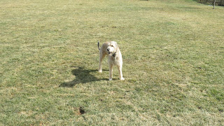 Rory, Monday, February 22, 2016, 12:27:44 PM