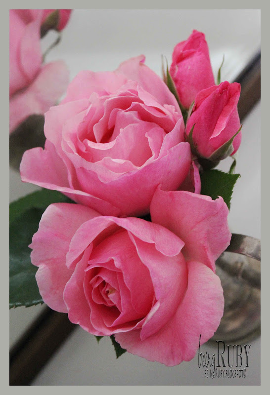 BeingRuby - PinkRose-4897-1b