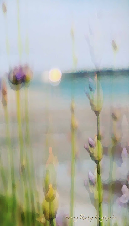 BeingRuby-BeachBlooms-0097-3-3.jpg