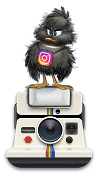 Follow Florian Satzinger on Instagram