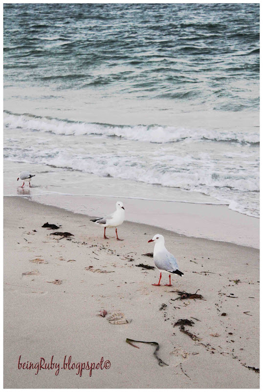 BeingRuby - Seaside-8