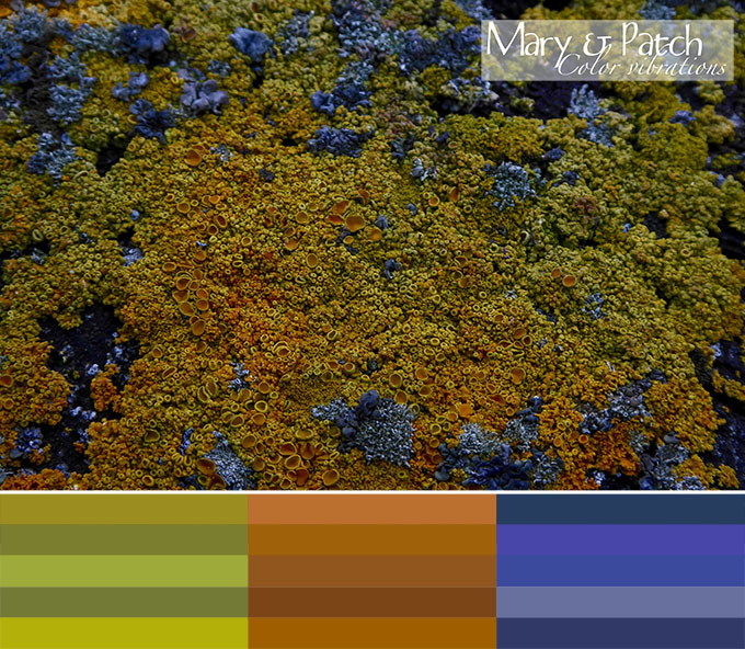 How to find color inspiration and how to use it!