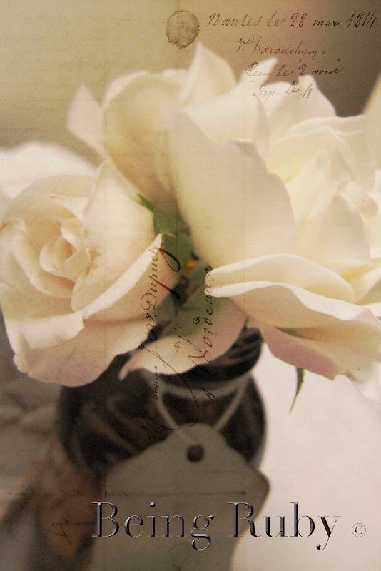 BeingRuby - Vintage Rose - 201003 - 9