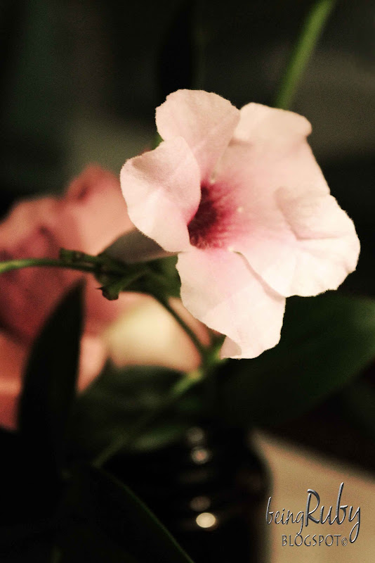 BeingRuby - PinkFlower-1J