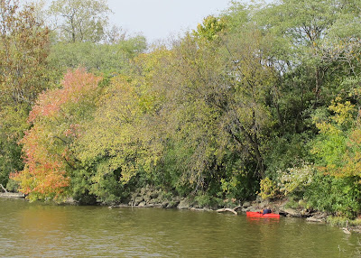 Fall Colors 3 - Scioto River