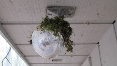 new nest