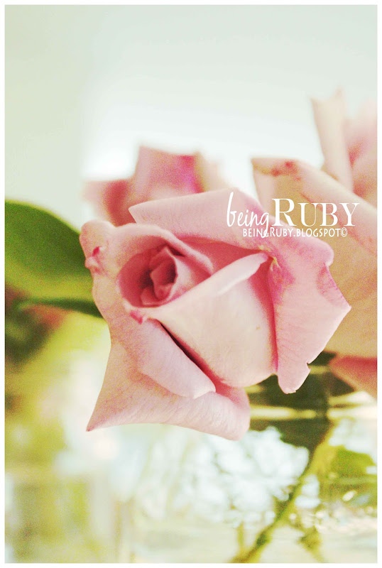 BeingRuby - BeingRuby-Roses-WhiteVintage-4516