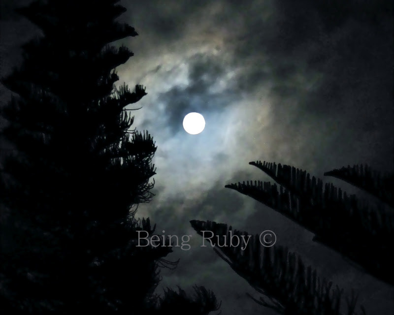 BeingRuby - 2010030 -Blue Moon - Moon 3001 - 4