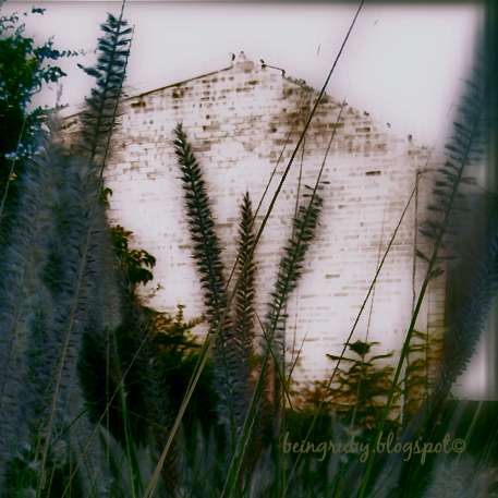 BeingRuby - splendourgrass - 201005 - 0e