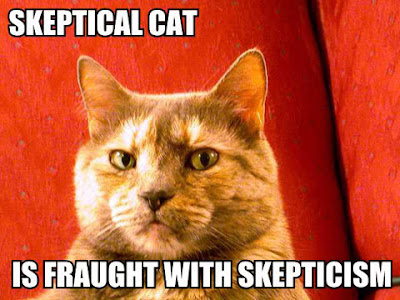 A skeptic A skeptic