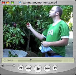 Click to play Video thumbnail. Click to play