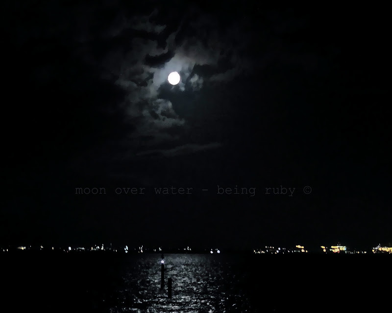 BeingRuby - 2010030 -Blue Moon - Moon 3001 - 7c