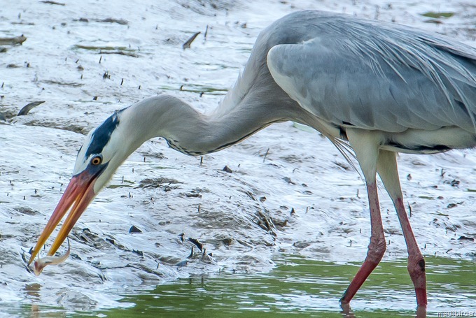 DSC_4792 DSC_4792
