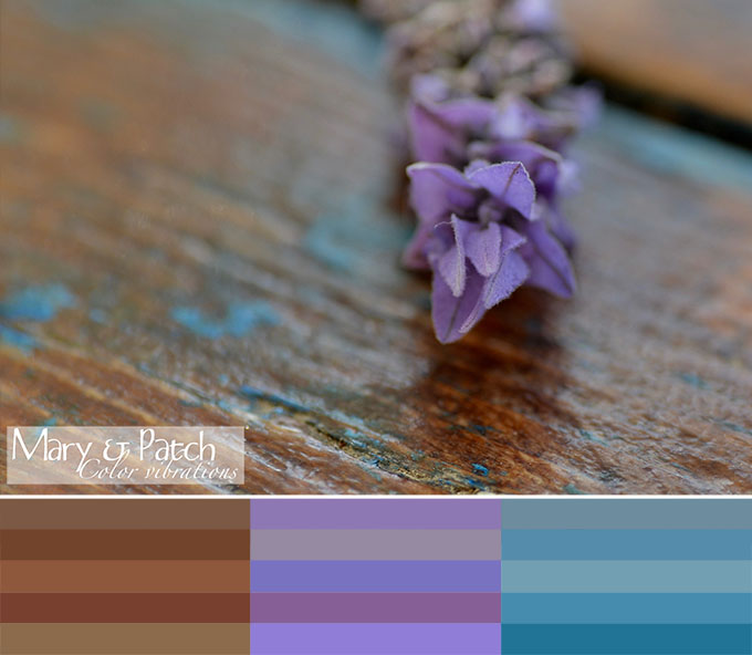 Maryandpatch, Color Vibrations, photo, inspiration, palette