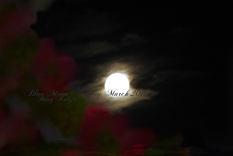 BeingRuby - Blue Moon March - 201003 - 7