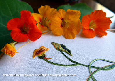 Needlepainted Nasturtium Flower Bud Along with the Real Thing Needlepainted nasturtium bud with the real flowers (Catherine Laurencon Capucines (Inspirations))