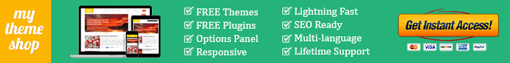 wordpress themes