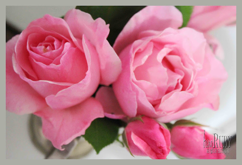 BeingRuby - PinkRose-4912-1