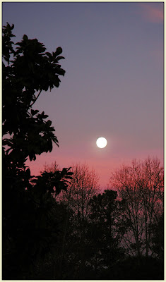 Marietta Moon