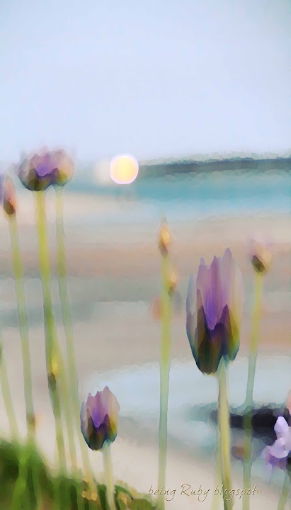 BeingRuby-BeachBlooms-0097-3-4.jpg