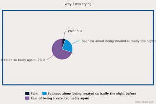 A pie chart entitled 'why I was crying'. There is a dark blue slice taking up 5% titled 'pain'. Then there's an aqua-coloured slice accounting for 25% of the pie entitled 'sadness about being treated so badly the night before'. Then there's a purple slice accounting for the remaining 70% of the pie labelled 'fear of being treated so badly again'.