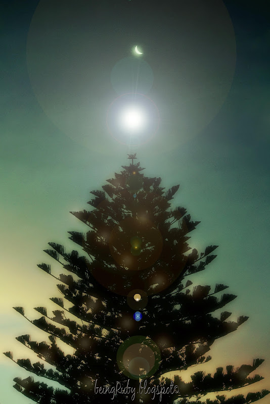 BeingRuby - BeachXmasTree-1