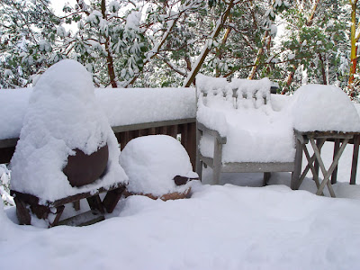 snow on our deck