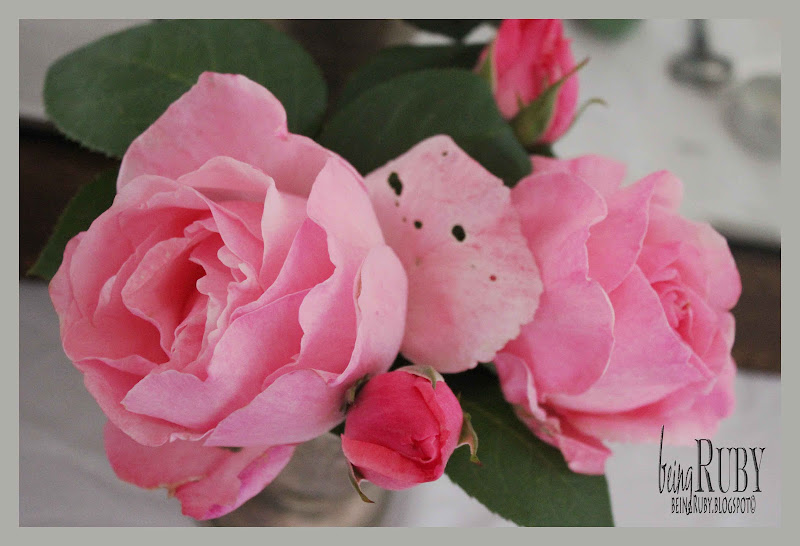 BeingRuby - PinkRose-4873-1b