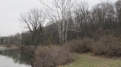 Lake Siri