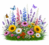 July Divider BBHQ ©BionicBasil® A bright, colourful summer garden filled with a mix of wildflowers in yellow, pink, purple, blue, red, and white. Several butterflies in vivid colours flutter above the dense blooms, creating a lively, cheerful meadow scene. The overall look is vibrant and full of movement, evoking a warm July day in nature.