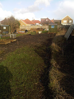 Caterham Allotment