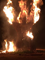 Burning man Fire