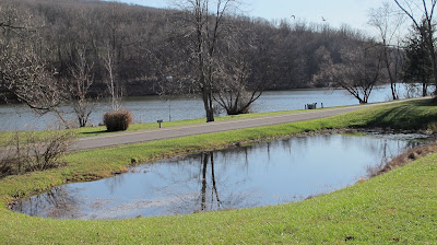 pond and Lake Siri