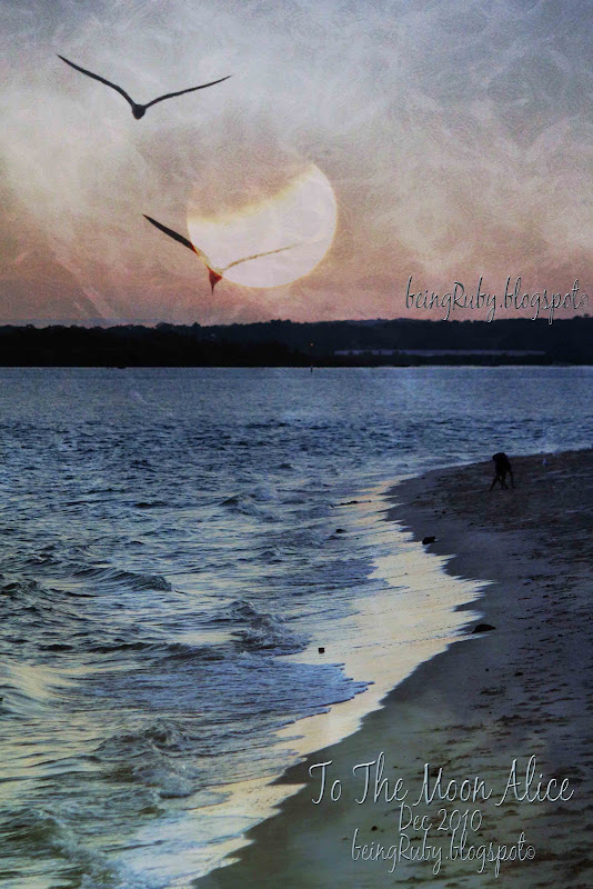 BeingRuby - FullMoon-Dec2010-5