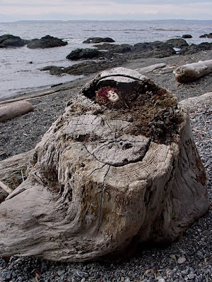 porcelain face,photo by Robin Atkins
