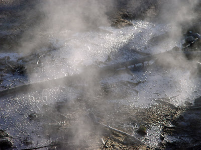 hot springs, Yellowstone National Pk