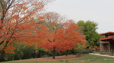 Fall Colors 4 - Scioto Audubon Metro Park