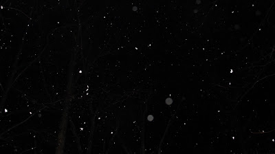 evening orbs