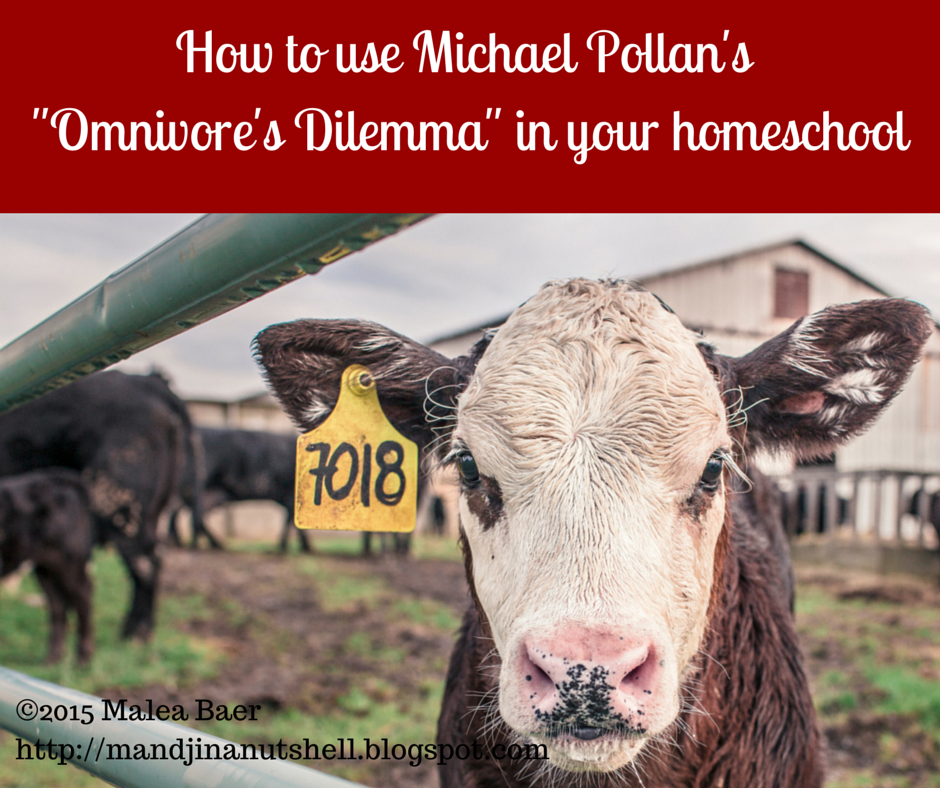 Omnivore's Dilemma Michael Pollan