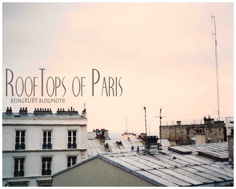 BeingRuby - Paris Rooftops-1