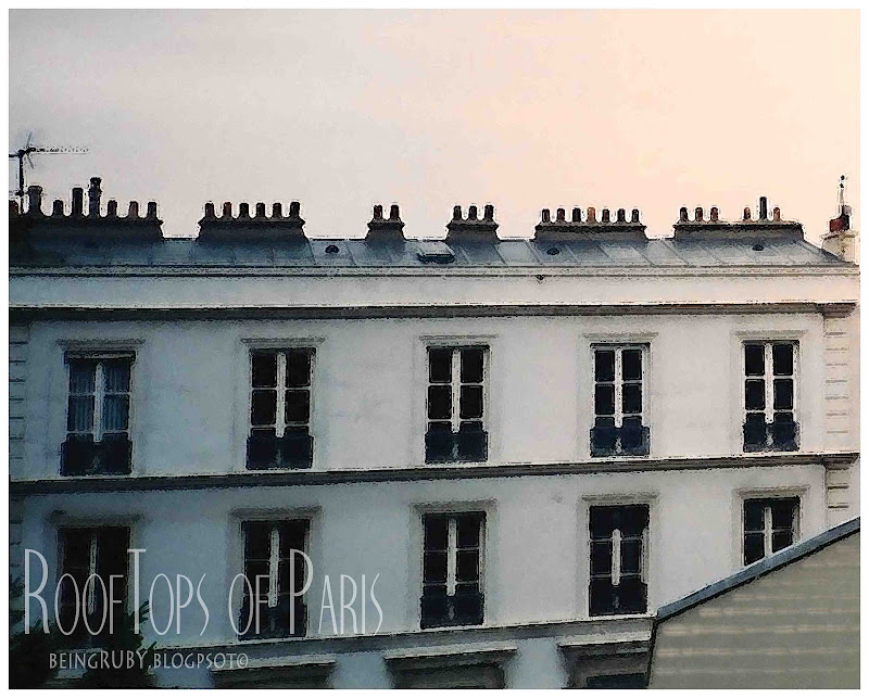 BeingRuby - Paris Rooftops-2