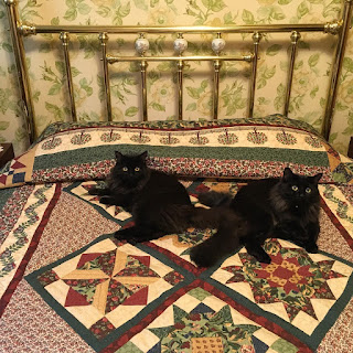 Introducing Meara and Kiera