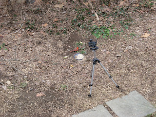 Canon A710, Sunday, February 07, 2016, 11:12:14 AM