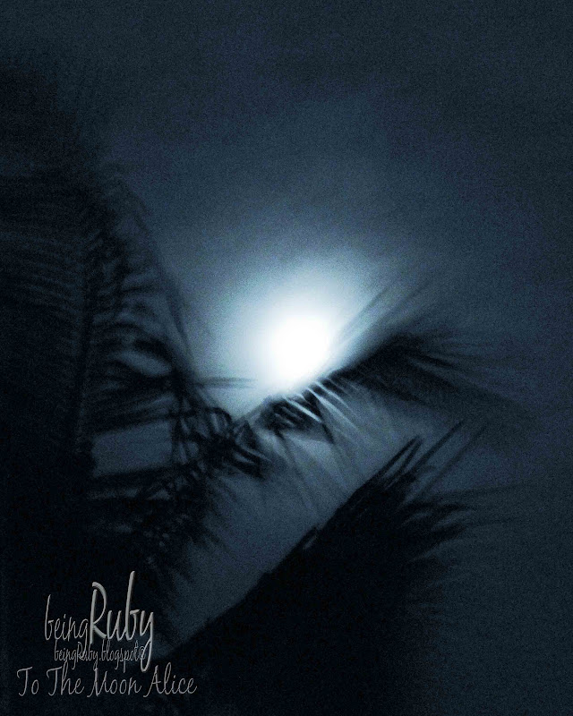 BeingRuby - FullMoon-Nov2010-2c