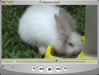 Click to play Video thumbnail. Click to play