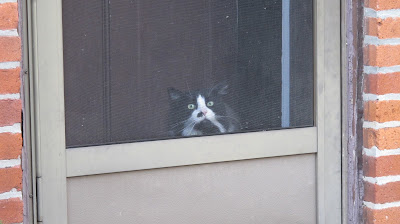 OPEN SESAME! No, really, I don't care what your name is. Open This Door!